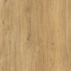 AGT Corvina Albana PRK804 detay Albana PRK804 7,5 mm