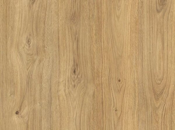 AGT Corvina Albana PRK804 detay Albana PRK804 7,5 mm