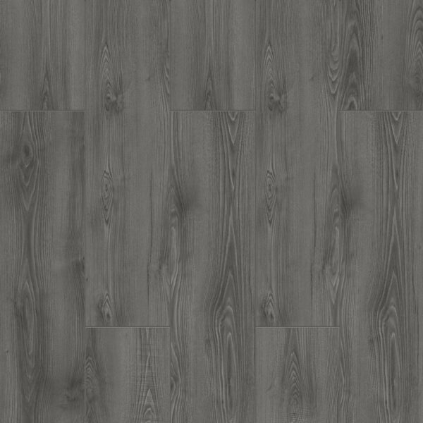 Karpat – 6001 Gloria