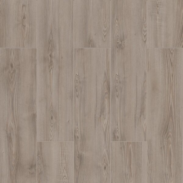Çamsan Mauna 6005 Mauna – 6005 Gloria