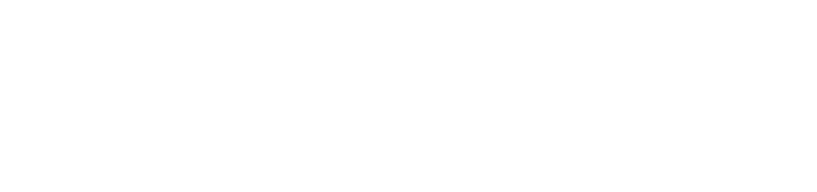 Canfleks